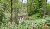 Tour Wandern Doische - Gochenee 19 km - Photo 10