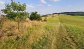 Tour Wandern Bouxières-sous-Froidmont - Arry - Photo 1