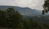 Trail Walking Arpavon - arpavon le poet sigillat par le col s aubomme - Photo 14