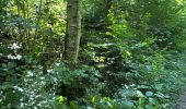 Tour  Attert - Balisage GR15 - Photo 8