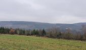 Tour Wandern La Roche-en-Ardenne - rando warempage 10/12/2020 - Photo 19