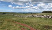 Tocht Stappen Nasbinals - Nasbinals à Aubrac - Photo 1