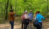 Tocht Stappen Eupen - Ternell -Eupen - Photo 13