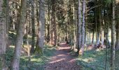 Trail Walking Miribel-les-Échelles - Circuit panoramique au départ de Miribelle - Photo 8