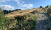 Tour Wandern Taninges - Balade autour de Beauregard - Photo 1