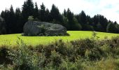 Trail On foot Altmelon - Naturwanderweg - Photo 10