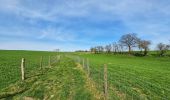 Tour Wandern Viroinval - Balade à Le Mesnil - Viroinval - Photo 6