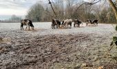 Tour Wandern Valorbiquet - Aux alentours de St Cyr du Ronceray  - Photo 18