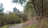 Trail Walking Mörsdorf - pont suspendu de Geierlay - Photo 14