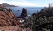 Excursión Senderismo Saint-Raphaël - Tour Grand Défends  du Dramont par les Ferrières - Photo 4