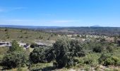 Randonnée Marche Aix-en-Provence - sentier Badaire plateau de l'Arbois - Photo 12