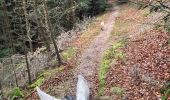 Percorso Equitazione Walscheid - Circuit roche du diable joyeux Tivio  - Photo 2