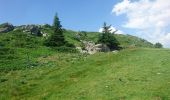 Tour Wandern Mont-Dore - le capucin aller et retour 2019-06-30 - Photo 3