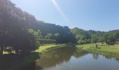 Tocht Stappen Bouillon - rando botassart 24-05-2023 - Photo 7