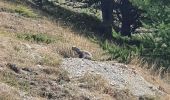 Excursión Senderismo Ceillac - Boucle crête du Riou Vert et  Col de Bramousse - Photo 11