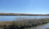 Randonnée Marche Noirmoutier-en-l'Île - Randonnée nord Noirmoutier  - Photo 4