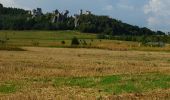 Percorso A piedi Podzamcze - Karlin - Siamoszyce - Photo 1