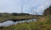 Trail Walking Houffalize - rando wibrin 22-04-2024 - Photo 4