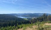 Trail Electric bike Titisee-Neustadt - Bärental, Altglashütte, Falkau, Saig, Neustadt Titisee - Photo 1