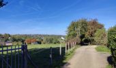 Randonnée Marche Namur - Du Piroy à Malonne  - Photo 8