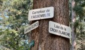 Trail Walking Ormoy-le-Davien - 030422 - Direction Vaucienne puis Vaumoise et Cave du diable - Photo 15