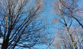 Percorso Marcia Liegi - angleur . bois saint Jacques / bois Saint Laurent. angleur - courte - Photo 6