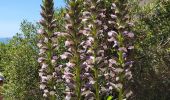 Trail Walking La Ciotat - Trail Walking La Ciotat -