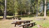 Randonnée Marche Sainte-Marie-aux-Mines - Crête granitique et forêts profondes - Photo 7