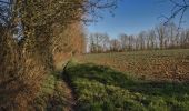 Trail Walking Perche en Nocé - Les Trois Clochers 12 km - Photo 5
