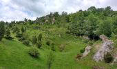 Tocht Te voet Berkatal - Rundweg Großer Marstein und Hielöcher - Photo 3