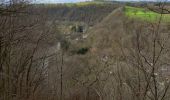 Tour Wandern Ferrières - balade des petits lapins - Photo 7