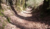 Trail Walking Bannalec - BANNALEC - Photo 1