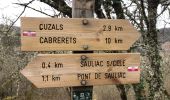 Tour Wandern Sauliac-sur-Célé - Sauliac sur céle Cabreret en boucle  - Photo 12