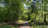 Trail Walking Vieux-Moulin - en foret de Compiègne_38_07_2021_sur la Route Eugénie - Photo 2