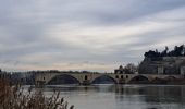 Randonnée Marche Avignon - ile de la Barthelasse - Photo 9