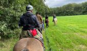 Trail Horseback riding Bastogne - Livarchamps - Surre (LU) 29 août 2021 - Photo 7