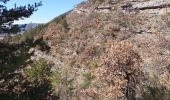 Excursión Senderismo La Roche-des-Arnauds - Sentier de la Poltrona/Combe du Duc. - Photo 9