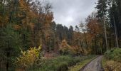 Tour Wandern Theux - tour  des fermes. f airifagne . f wisselez . Mont . hodbomont . f st Remacle - Photo 11