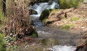 Tour Zu Fuß Siegbach - Wanderweg E14 / Wilhelmsteine - Photo 7