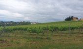 Tour Wandern Castelfiorentino - CR_Francigena_DB_38_Castelfiorentino_San-Gimignano_20230520 - Photo 13