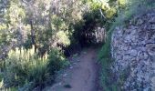 Tour Zu Fuß Riomaggiore - Sentiero Verde Azzurro: Telegrafo - Montenero - Riomaggiore - Photo 8