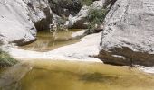 Excursión Senderismo Ollioules - Gorges de Destel - Photo 5