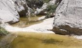 Randonnée Marche Ollioules - Gorges de Destel - Photo 5