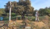 Tour Wandern Villares de Órbigo - Santibañez Astorga Murias - Photo 9