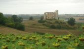 Trail Walking Saint-Antoine - CC_Velay_EC_19_St-Antoine_Lectoure_20080819 - Photo 4