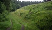 Tocht Te voet Clausthal-Zellerfeld - Buntenbocker Teiche - Photo 2