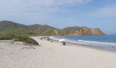 Tocht Stappen Parroquia Machalilla - Los Frailes - Photo 7