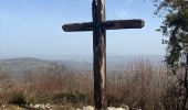 Trail Walking Entrelacs - CHAMBOTTE - Photo 3