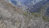 Tocht Stappen Vallées-d'Antraigues-Asperjoc - Le Mazoyer depuis Antraigues. - Photo 8