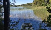 Tour Wandern Le Frasnois - La Fromagerie  - Photo 4